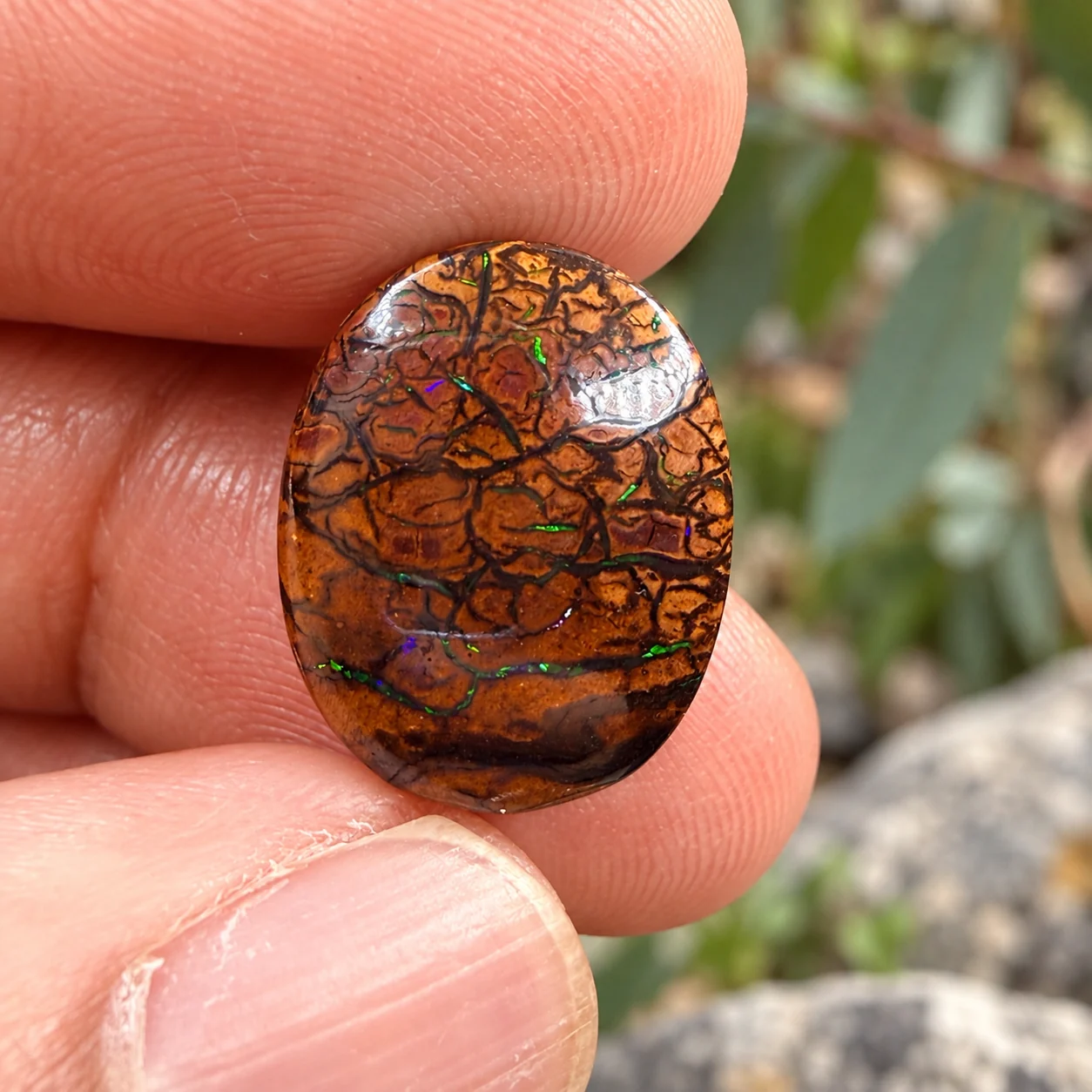 Australian opal against eucalyptus